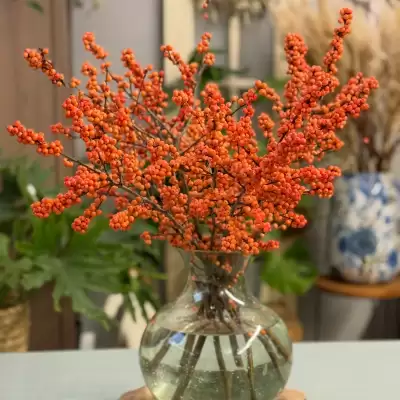 Рисунок из инстаграма