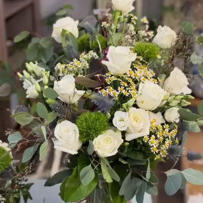 Obrázek z Instagramu