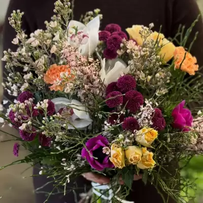 Obrázek z Instagramu