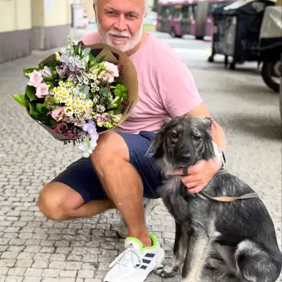 Obrázek z Instagramu