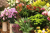 Květiny na pultě v květinářství