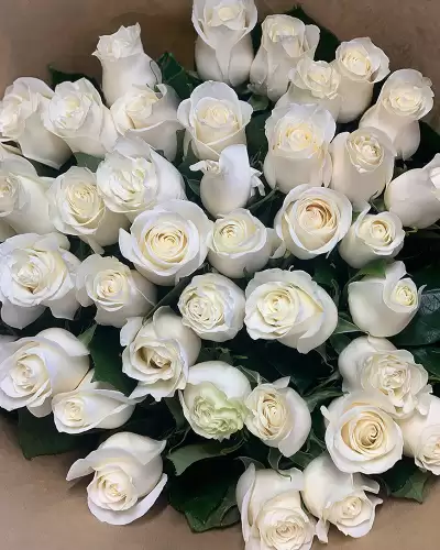 Rozvoz květin v Brně zajistíme již za pár hodin od objednání.