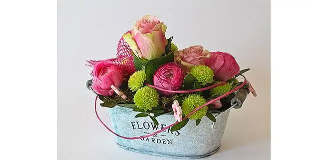 Zkuste darovat netradiční květiny | KvětinyOnline