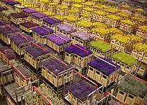 Květinová burza – nedílná součást trhu s květinami