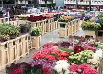 Květinová burza – nedílná součást trhu s květinami