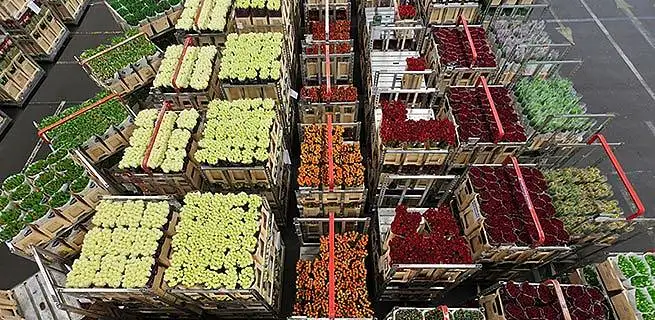 Zjistěte, co je to květinová burza | KvětinyOnline