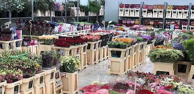 Proč se cena květin v průběhu roku mění? | KvětinyOnline