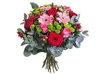 Řezané květiny i v zimě? Rozhodně!