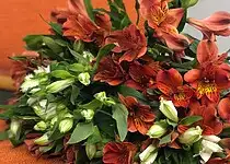 Aby alstromérie byly dlouho krásné a svěží