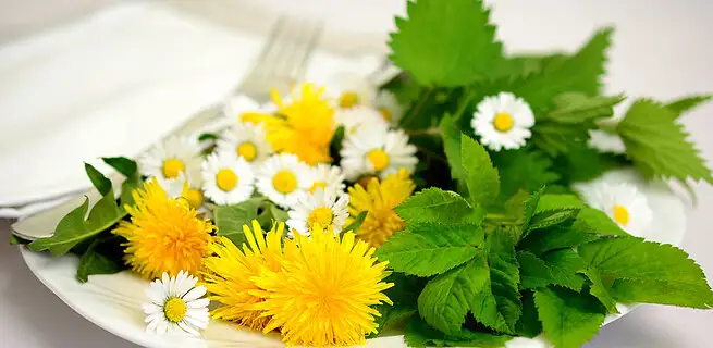 Květiny ozdobí nejen stůl ale i talíř | KvětinyOnline