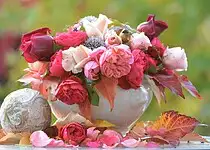 Už nikdy nezapomenete na narozeniny, svátek nebo jiné důležité datum