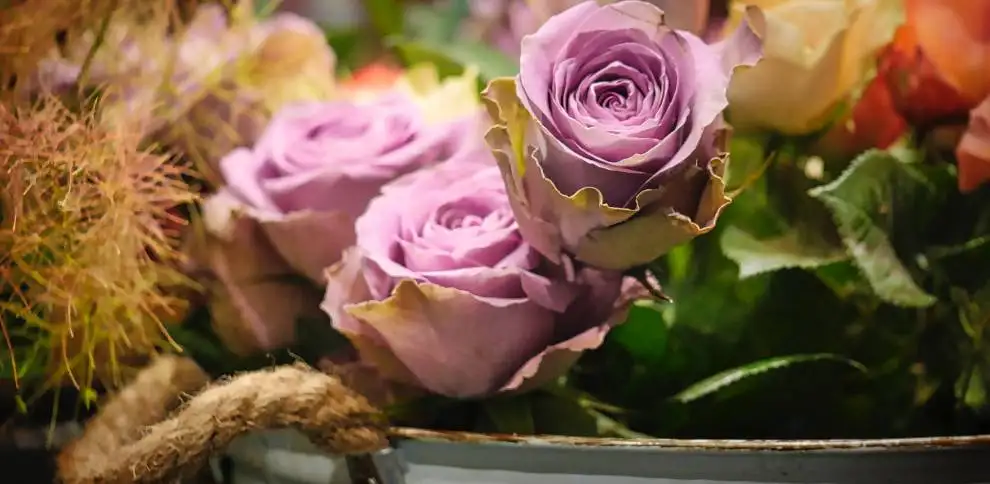 Provoňte svůj domov květinami i v zimě | KvětinyOnline