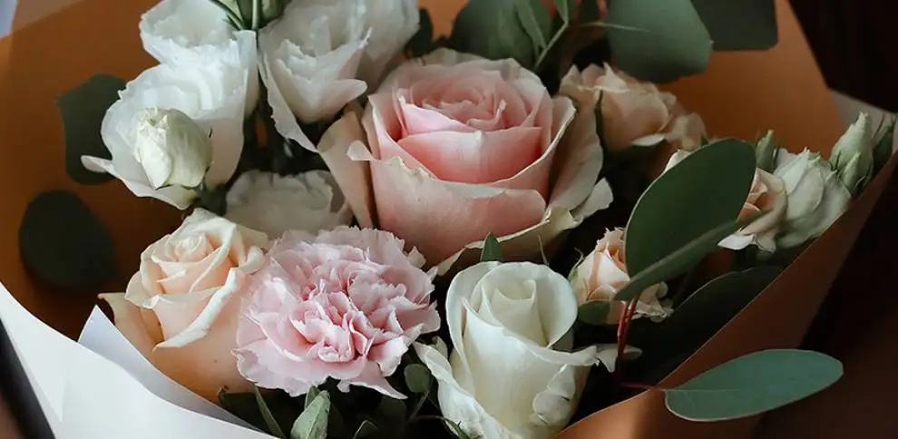 Když omluva tak s květinou - KvětinyOnline