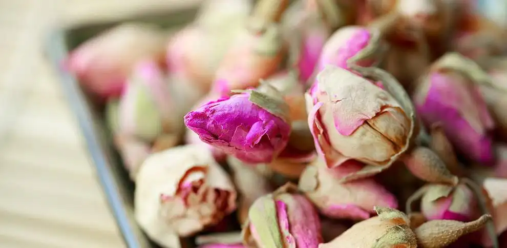 Uvadlé květiny, co s nimi? | KvětinyOnline