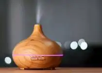 Podzim je tady, pořiďte si rýmovník