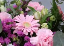 Vše, co vás zajímá o květinách