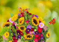 Ženu potěší čerstvé i mýdlové květiny