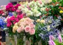 Hledáme floristku / floristu do našeho květinářství.