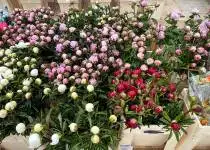 Velkoobchodní prodej květin a jeho budoucnost