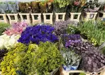 Velkoobchodní prodej květin a jeho budoucnost