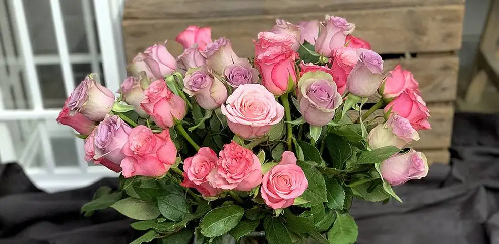 Růže k narozeninám: Symbolika a význam nejkrásnějších květin