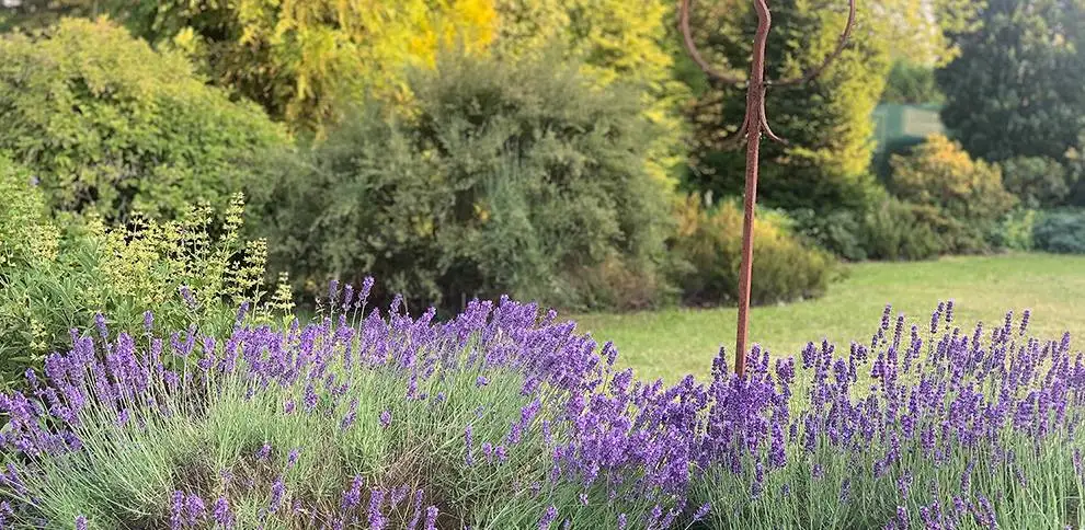 Léto plné bylinek - objevte poklady luk a zahrádek