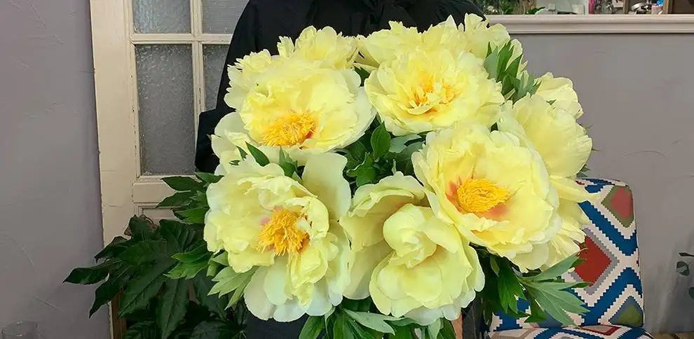 Peonies are beautiful not only in wedding bouquets