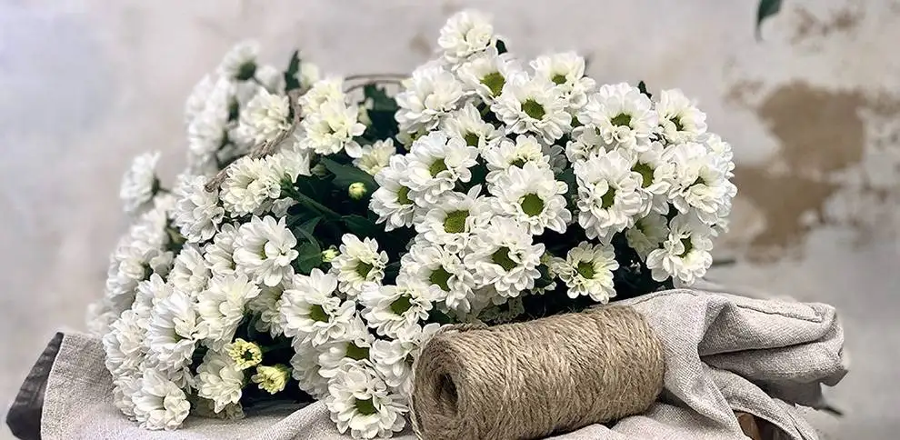 Santini - Colour harmony in a bouquet