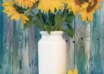 Цветы и их символика в различных культурах