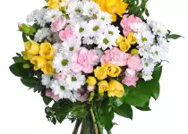 Freesias - beautiful flowers with a rich history and versatile use