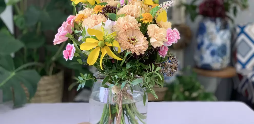 All about carnations: history, uses and tips for arranging